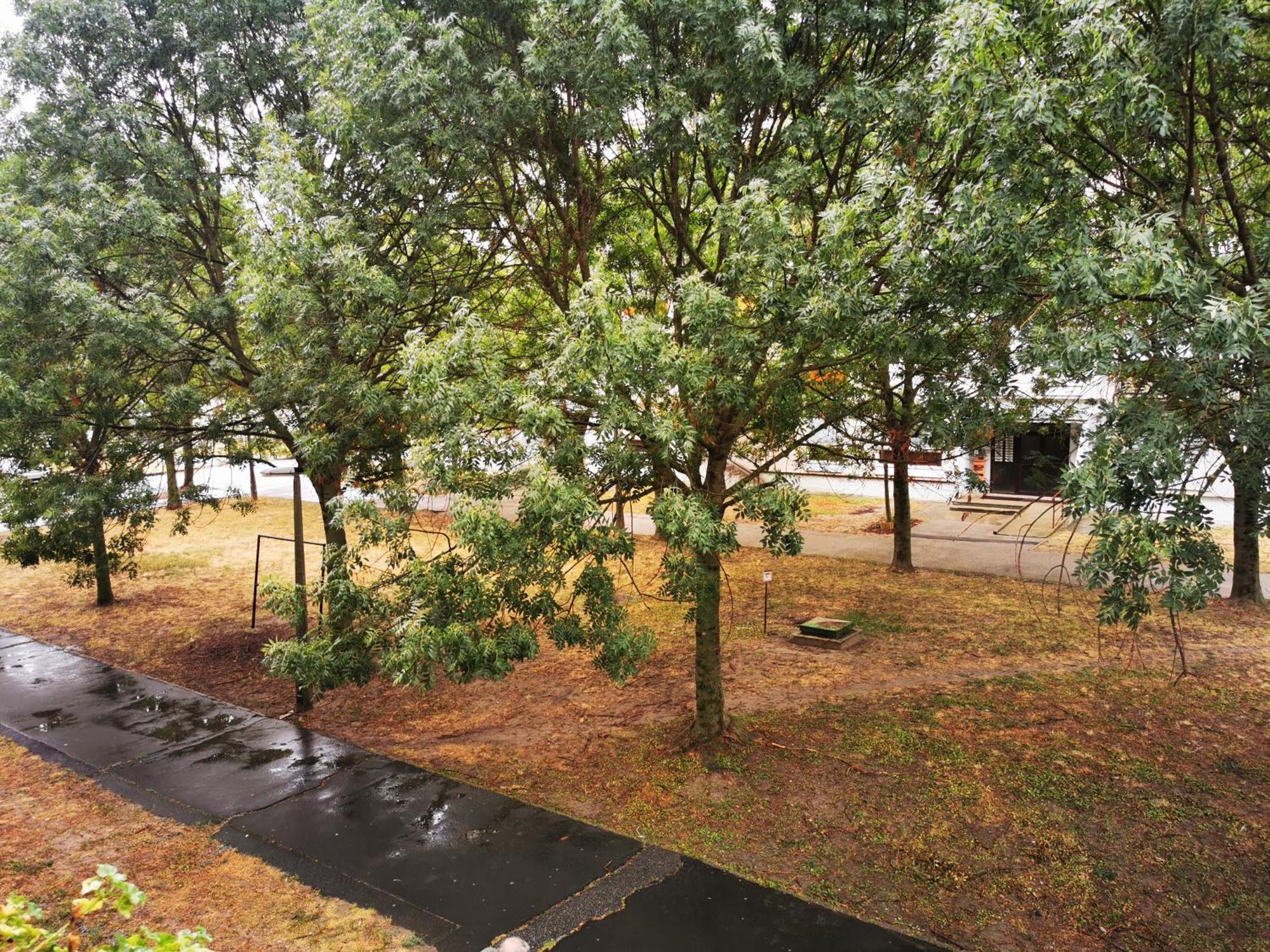 Central Park Apartman Szekszárd Buitenkant foto